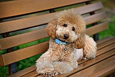 《堡垒之夜》联动《进击的巨人》更新 三大主角立体机动上线